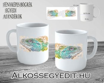 Leguan Alkossegyedit
