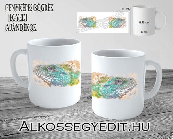 Leguan Alkossegyedit