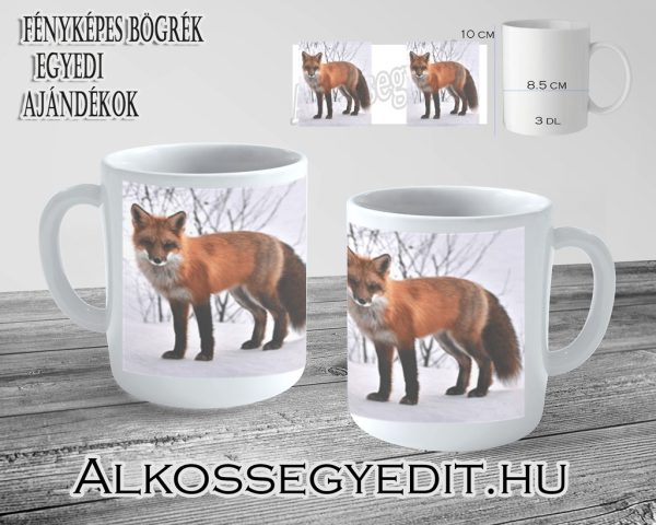 Roka 01 Alkossegyedit