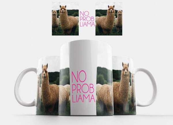 No Prob Llama