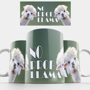 No Prob Llama V2