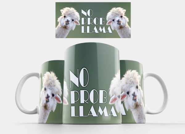 No Prob Llama V2