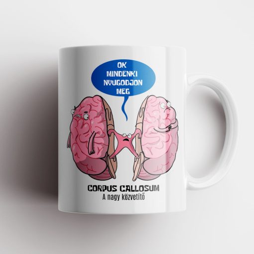 Corpus Callosum Gen