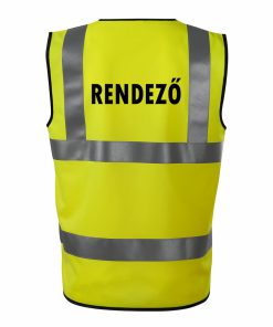 Regisseur V1