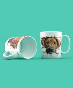 Kutyak Rhodesain Ridgebacks Gen