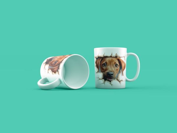 Kutyak Rhodesain Ridgebacks Gen