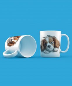 Kutyak Spaniels Gen
