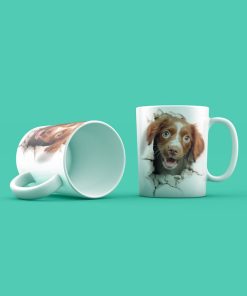 Kutyak Irish Setters Gen