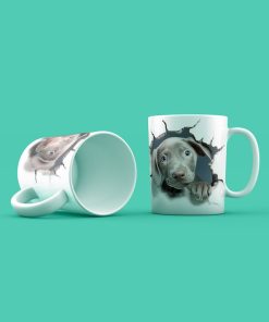 Kutyak Weimaraners Gen