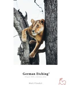 16 German Etching