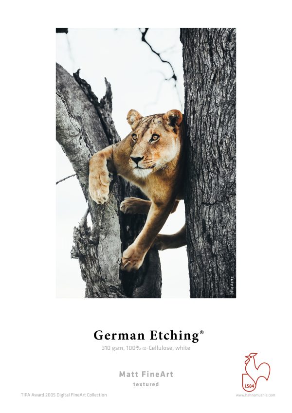 16 German Etching