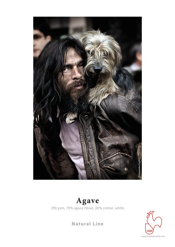 Agave Img
