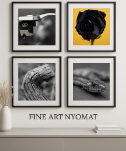 Fine Art Alkossegyedit.hu